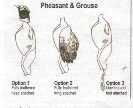 Pheasant Distinguishing Features