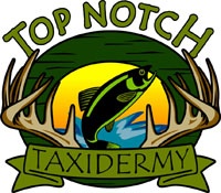 Top Notch